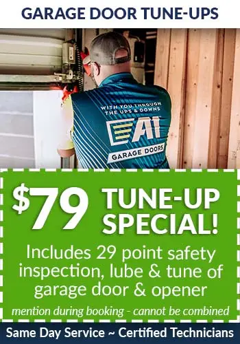 garage door maintenance in Fredericksburg
